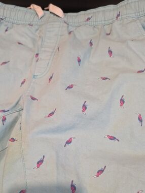 George Light Blue Shorts with Small Red Fish Accent